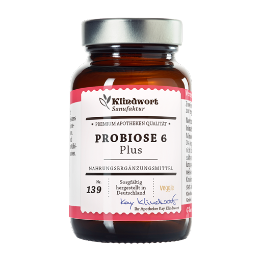 Klindwort Probiose 6 Plus